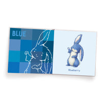 Bunnies by the Bay Book - My Book of Colors