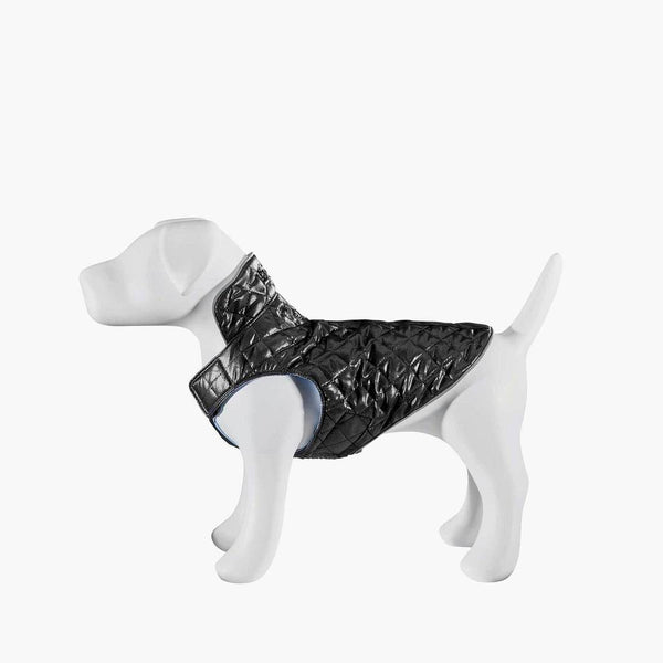 OLIVER THOMAS Haute Dog Coat