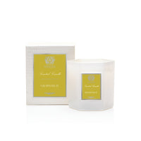 Antica Farmacista 9 oz Candle