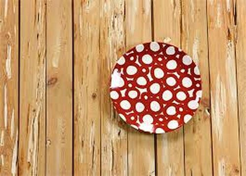 Coton Colors RETIRED Salad Plate RED WHEEL ~ As Is