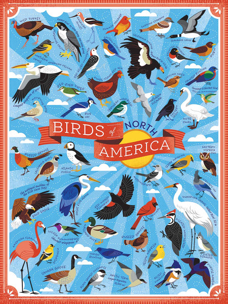 True South Puzzle BIRDS OF NORTH AMERICA
