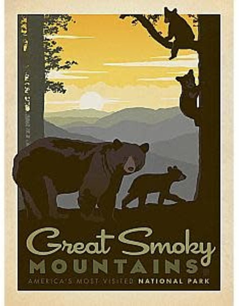True South Puzzle GREAT SMOKY MOUNTAINS ~GRIZZLY~